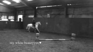 My white beautys;♥