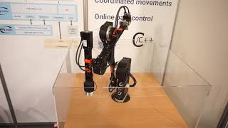 KPA Motion Library live demonstration screenshot 4