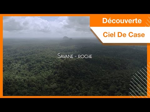 Découvrez l'Inselberg de Savane-Roche en #Guyane