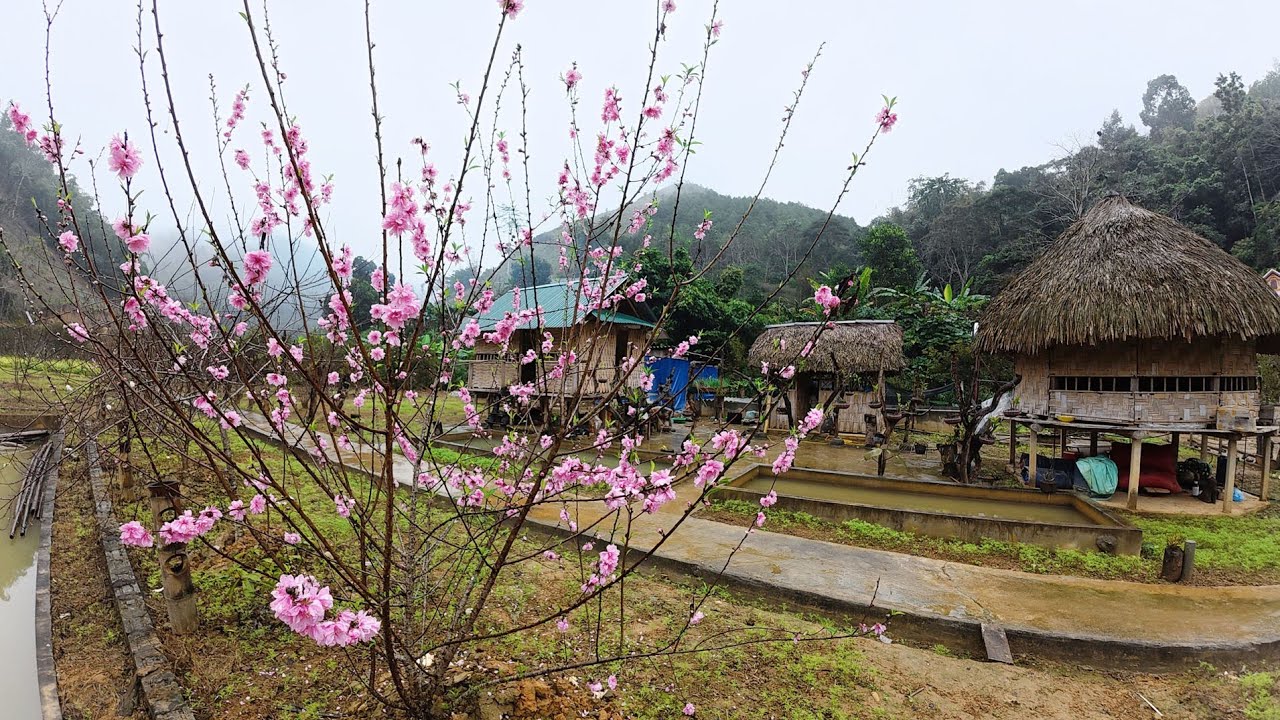 Lên núi những ngày cuối cùng của năm, cuộc sống tự nhiên