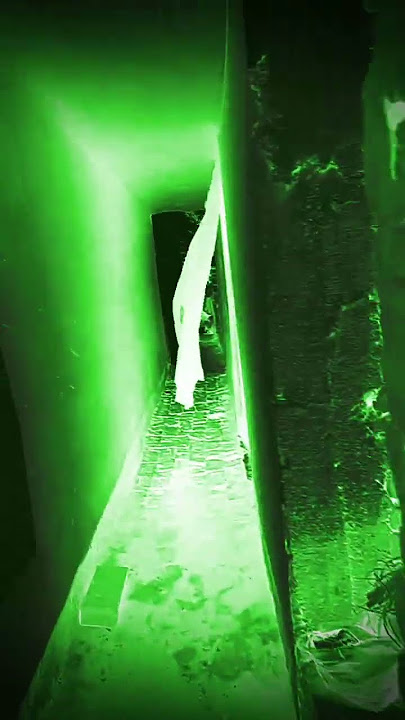 bhoot wala video
