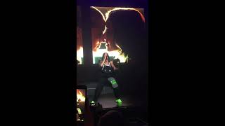 180806 Halsey Live in Seoul - Strangers (Vertical Video)