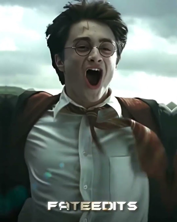 Harry Potter VS Newt Scamander. shorts youtubeshorts viral harrypotter YouTube