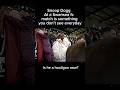 Snoop Dogg football hooligan?At a Swansea fc football game(twitch-snoop dogg)#snoopdogg #epl
