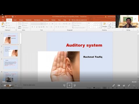 system auditory
