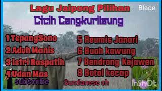 JAIPONGAN FULL ALBUMS CICIH CANGKURILEUNG,TEPANG SONO,ADUH MANIS,BUAH KAWUNG,REUMIS JANARI