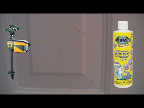 Cats Spraying and Marking Territory Inside Home – Problem Solved using Sprinkler and Get Serious
