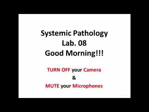 Practical Pathology / Endocrine System / lab 8 - YouTube