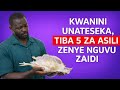 KWANINI UNATESEKA TIBA 5 ZA ASILI ZENYE NGUVU KULIKO DAWA