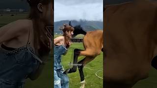 Amazing & Funny Facts About Horses That Will Surprise You!