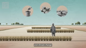 Who are the displaced in urban areas?