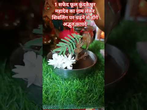 शिवलिंग पर सफेद फुल कब क्यो चढ़ाना चाहिए#pradeepmishra #शिवमहापुराण#upay#mahadev#श्रीशिवायनमस्तुभ्यं