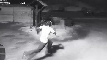 Saints Row Reboot Beware The Grisly Bear Explore Hidden History