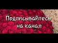 дождались 💣💗👏 Жайна МаTцаева - Доьлху дог (New 2018)