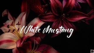 White Mustang - Lana Del Rey The Neighbourhood,Arctic Monkeys