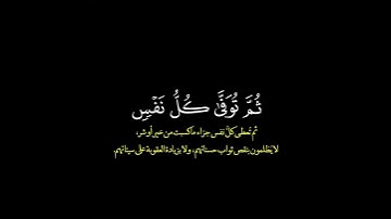 واتقوا يوما ترجعون فيه الى الله/ القارئ ادريس ابكر #قرآن