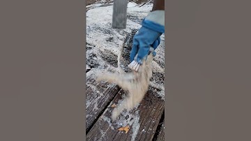 2.5 Minutes Deep Clean ASMR: MUDDY Hand Scrubbing  and Wet Water Rinsing (Hyper Satisfying)