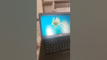 Windows xp windows longhorn windows 7 windows 8 windows 10 and windows 11. #bfdi