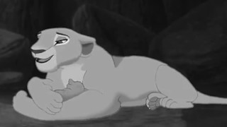 lion king vitani pregnant