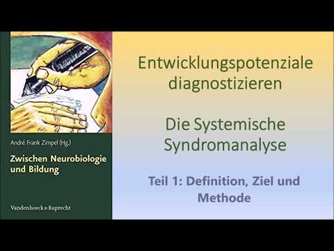 Systemische Syndromanalyse Teil 1: Definition, Ziel und Methode.