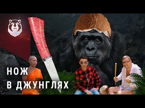 Видео: В поисках ножа! На что способен нож в джунглях?