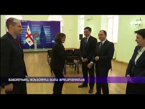 ჯანელიძის შეხვედრა მაია გოიკოვიჩთან