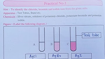 10th are science Practical Book Answers | Practical 1 class 10