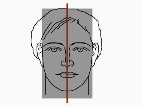 Face Proportions - YouTube