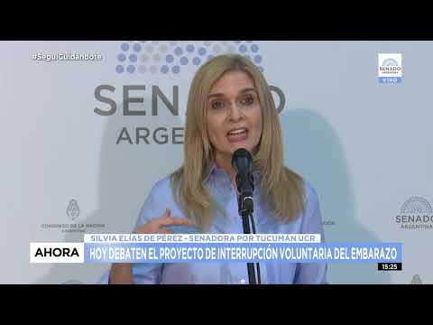 NOTA A SDORA. SILVIA ELÍAS DE PÉREZ 1 - SESIÓN ESPECIAL IVE 29-12-20