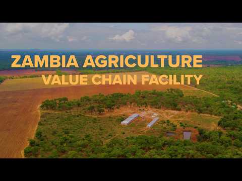 Zambia Agriculture Value Chain Facility