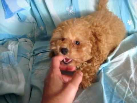 Ginnastica posturale arezzo