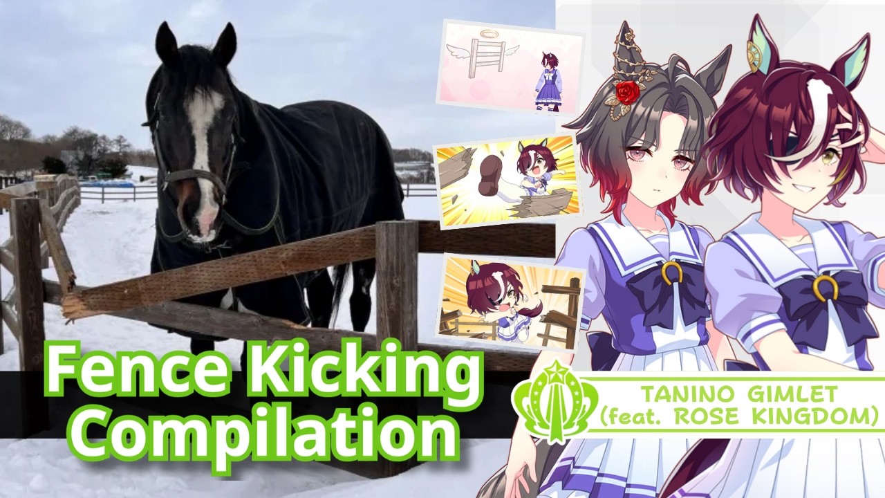 Tanino Gimlet vs. Fence [Fence Kicking Compilation Vol. 01] | タニノギムレット vs. 牧柵 [牧柵破壊集 Vol. 01]