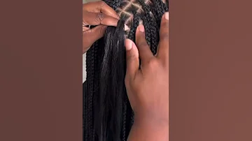 Beautiful Knotless Braids 