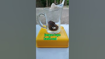 Thumbnail of CARA MEMBUAT KOPI + JAHE YANG BAIK DAN BERKUALITAS