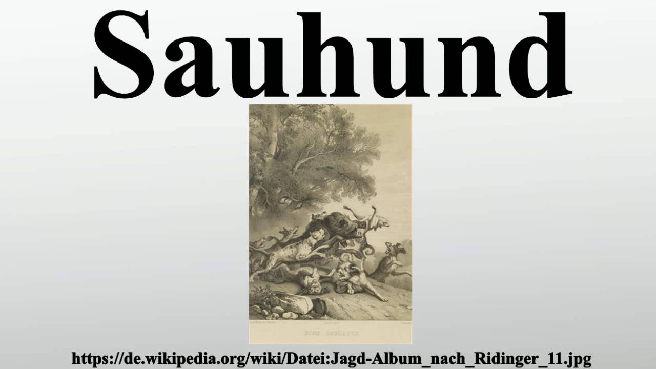 Sauhund