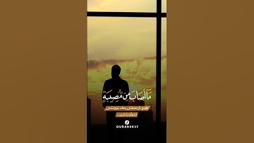 ناصر القطامي - سورة التغابن -
