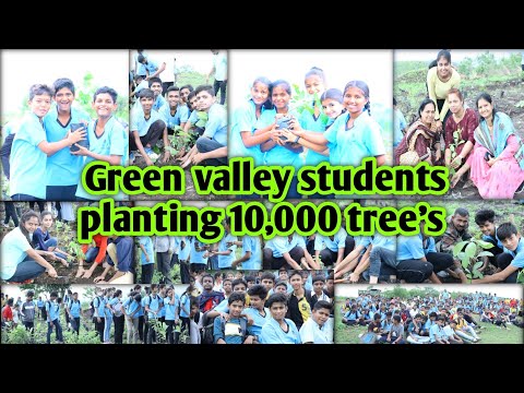 Green valley Montessori school Planting 10 thousand tree's