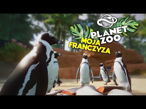 AFRICAN PENGUIN PENGUIN REST - PLANET ZOO, my franchise