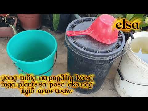Flex my Plants #plantslovers #viralvedio#youtuber