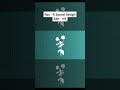 flos - R Sound Design Canva edit