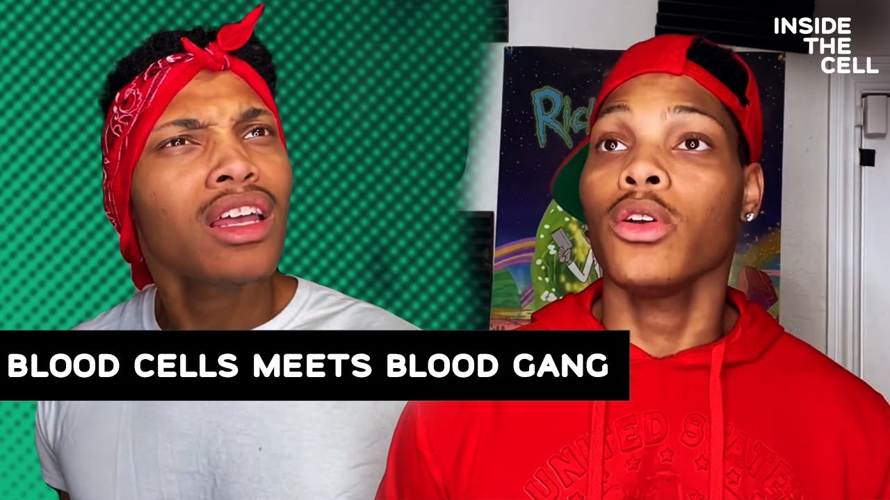 Blood cells meets the blood gang | Inside The Cell