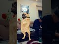 aaaaa #comedy #dance #youtuber #keşfetbeniöneçıkar