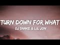 DJ Snake, Lil Jon - Turn Down for What (Lyrics)