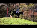 2010 Rubicon Fall Horse Trials - Prelim XC