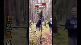 💀Ranking Dog Sticks Moments