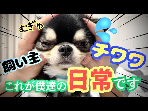 もっと犬に言いたいたくさんのこと : 君の「?」な行動に惑わされず、楽しむため… もっと犬に言いたい たくさんのこと-君の「?」な行動に惑わさ