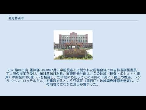 羅先特別市 YouTube