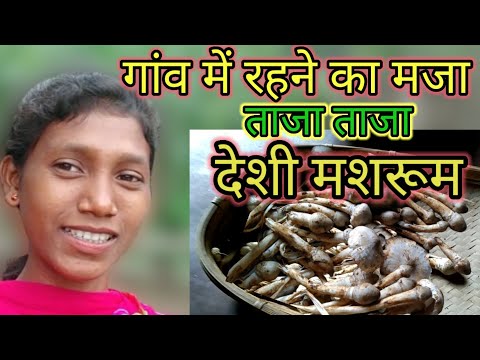 आज जंगल से ताजा ताजा देशी मशरूम लाए हैं 😋😋|| Today We have brought Fresh mashroom From the Forest