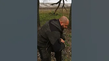 Если напал медведь, нужно его забороть
