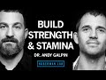 Dr andy galpin how to build strength muscle size  endurance  huberman lab podcast 65